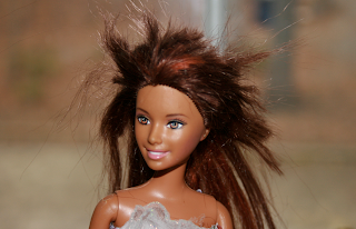 Hannah Keeley's Blog: Barbie Gets a Haircut